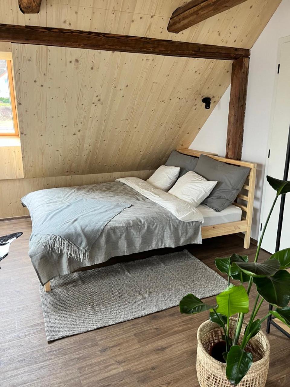 Sanky Apartmany Либерц Экстерьер фото